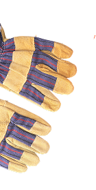 gloves